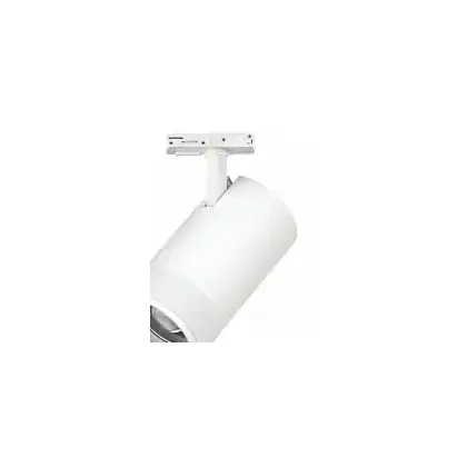 Светильник на штанге Lightstar Canno Pro C4406SS