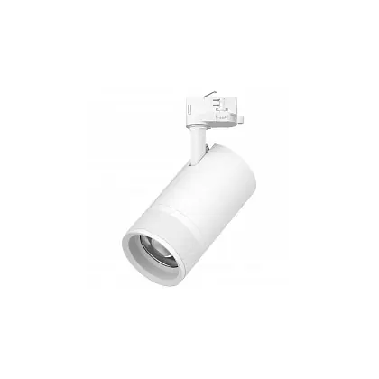 Светильник на штанге Lightstar Canno Pro C4407SS